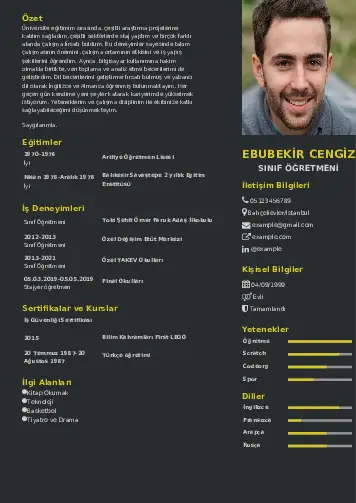Sınıf Öğretmeni Cv Örnekleri cv indir